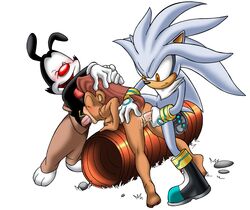 00s 2000s 2007 2boys amblin_entertainment animaniacs anthro bbmbbf bear color crossover disney erect_penis exposed_torso female footwear fur furry furry_only handwear hedgehog male mammal palcomix penis rebecca_cunningham sega silver_the_hedgehog sonic_(series) sonic_2006 sonic_team sonic_the_hedgehog_(series) straight straight_hair talespin warner_bros warner_brothers yakko_warner