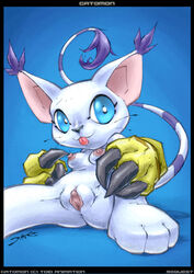 digimon dreamerink gatomon purple_fur tagme