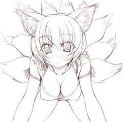 1girls :o all_fours alternate_costume animal_ear bangs bent_over blush breasts cleavage contemporary down_blouse erect_nipples female fox_ear fox_tail greyscale large_breasts looking_at_viewer monochrome multiple_tails open_mouth ran_yakumo ribbon short_hair simple_background sin-go sketch solo star stare tail touhou white_background