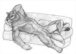 1boy abs anthro balls biceps canine chest_tuft fur furry male male_only monochrome moonchild paws pose sheath solo tuft wolf