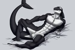 2012 balls cetacean erection male male_only marine mehawk muscles orca penis solo uncut