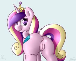 2013 alicorn anus ass cutie_mark dissyshy equine female friendship_is_magic hair horn horse multicolored_hair my_little_pony plain_background pony princess_cadance_(mlp) purple_eyes pussy wings