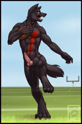 abs anthro ball barefoot black_fur black_nose canine canine_penis claws color day erection feralise football football_field front_view fur furry furry_ears holding holding_ball knot looking_aside male male_only muscles nude open_mouth outdoors penis pointy_ears running sharp_teeth solo testicles tongue wolf yellow_eyes