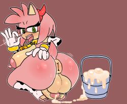 amy rose from sega by lewd4food