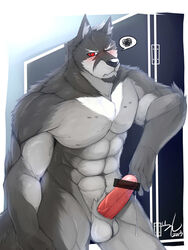 2013 abs balls biceps big_muscles canine censored erection fur kadzu male male_only muscles pecs penis solo wolf