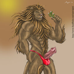 2010 ajani anthro balls erection feline furry lion male male_only muscles no_humans penis solo underwear