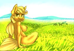 2016 anthro anthrofied applejack_(mlp) blonde_hair casual_nudity detailed_background earth_pony equid equine female freckles friendship_is_magic hair hasbro horse looking_at_viewer looking_back mammal my_little_pony nipples nude ogaraorcynder outside pony ponytail puffy_nipples rear_view sitting smile solo