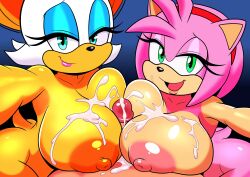 amy rose from sonic (series) by furry funnychan