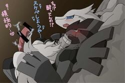 anthro black_dragon blue_eyes blush censored erection furry gay legendary_pokemon lying male nintendo no_humans nude on_back penis pokemon reshiram unknown_artist video_games white_dragon zekrom