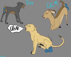 anal anal_sex backlash91 canine cervine deer dildo doberman double_penetration feline female feral hi_res high_resolution lion penetration sex_toy vaginal_penetration