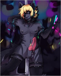 1futa ankh anthro balls blonde_hair breasts canine canine_penis collar dickgirl elbow_gloves erection facial_piercing frenum_ladder frenum_piercing fur furry furry-specific_piercing futanari genital_piercing gloves glowstick hair intersex knot looking_at_viewer muzzle_piercing necklace nose_piercing nude ookami-kun party penis penis_piercing piercing pubes rave raver scrotum_piercing solo thigh_highs wolf