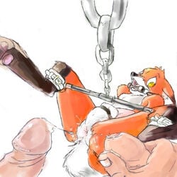 3boys after_sex anal anthro bondage bound canine cum forced forced_yaoi fox furry gag group hammytoy human male penis pov rape spreader_bar threesome toony uncut yaoi