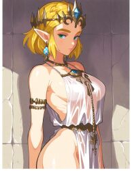 princess zelda from breath of the wild