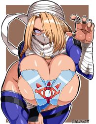 sheik from nintendo by senak012