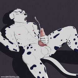 2013 anthro balls canine dalmatian erection fur furry male male_only masturbation muscles onyxavia penis solo