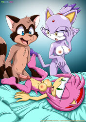 4_toes 5_fingers :d amy_rose anthro balls bbmbbf beige_skin black_eyes black_nose black_skin blaze_the_cat blue_background blue_eyes brown_fur brown_nose brown_skin cat erection eyelashes feet feline female fur grasp green_eyes hair happy hedgehog hi_res looking_down lying male mammal nipples nude on_back open_mouth penis pink_fur pink_hair pink_penis pink_skin plain_background purple_fur pussy quills raccoon radix_the_raccoon raised_arm raised_leg sega shadow shiny skin smile sonic_(series) spread_legs spreading standing straight tongue video_games white_background white_eyes white_fur yellow_eyes