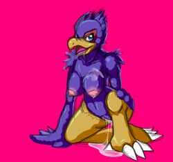 anthro avian breasts cum falco_lombardi female kai-ten kaivolate kneeling nipples non-mammal_breasts pussy raptorkou rule_63 sketch solo star_fox video_games