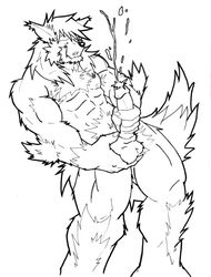 1boy 2005 abs anthro balls biceps canine cum erection fur hair male male_only masturbation muscles nipples orgasm pecs penis rackun sex sketch solo wolf