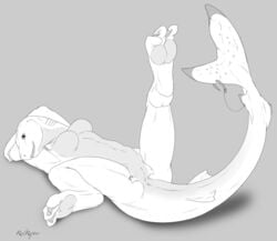 anus breasts cute female fish gills lying marine no_nipples nude piercing presenting presenting_pussy pussy raised_leg redraptor16 scalie shark solo spread_legs spreading webbed_feet