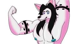 16:9 animated anthro canid canine canis domestic_dog hausu_mukade hi_res husky male male/male mammal nordic_sled_dog pecs short_playtime solo spitz unknown_artist widescreen