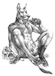 anthro aroused balls banana blotch canine flaccid food fruit furry looking_at_viewer male male_only no_humans nude penis sheath sitting solo suggesting_bottle_licking