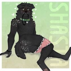 1:1 absurd_res anthro anus ass backsack balls bird_dog black_body black_fur blush bracelet canid canine canis cerberussenn clothing clothing_around_legs collar collar_tag cute_fangs domestic_dog fangs floppy_ears freckles fur genitals green_eyes heart_collar_tag heart_pupils heart_symbol hi_res hunting_dog jewelry labrador leash leash_in_mouth male mammal meme nyan_cat_(copyright) object_in_mouth pawpads retriever shasta_chirmann_(cerberussenn) slim_male smile solo sticker stickers_on_body tail tail_anus tail_motion tailwag teeth underwear underwear_around_legs