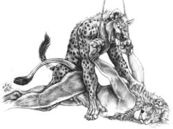 2boys anal anthro blotch bondage bound feline furry gay holding hyena lion male male_only monochrome no_humans rope sex sketch wincing