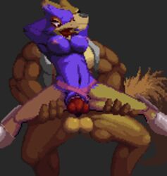 anthro balls breasts canine color erection falco_lombardi female fox front_view fur furry insertion interspecies kai-ten kaivolate male muscles nude panties panties_aside penetration penis pheasant pixel_art pussy raptorkou rule_63 sex star_fox straight testicles underwear vaginal_insertion vaginal_penetration video_games vulva