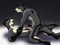 2012 anthro brothers canine cirrus cum cumshot frottage furry gay incest male no_humans orgasm sibling thaine twincest twins