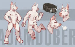 anthro ass balls canine collar doberman flaccid furry hands_on_hips humanoid_penis male male_only model_sheet no_humans nude penis redic-nomad solo standing