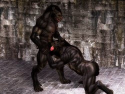 2013 3d abs anthro balls bending black_fur black_howler canine ear_piercing erection fellatio furry gay knot male muscles nipple_piercing nipples no_humans oral oral_sex penis piercing red_penis sex sucking tattoo werewolf