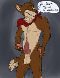 anthro balls bandana brown_eyes brown_fur canine english_text erection fur furry knot male male_only pawpads penis solo text whitefeathersrain