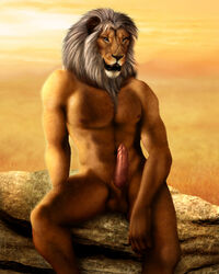 1boy 2013 anthro balls erection feline fur furry jocarra lion male male_only muscles penis solo