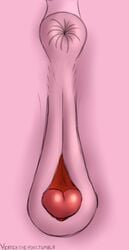 anatomically_correct anatomically_correct_pussy anus ass close-up equine equine_pussy female feral friendship_is_magic horse my_little_pony pinkie_pie_(mlp) pony pussy signature solo vaginal_winking vertex