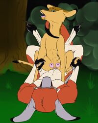 anthro anthro_on_feral backlash91 bush cervine deer eyewear female feral forest glasses interspecies kangaroo male male_on_feral marsupial open_mouth penetration sex straight tongue tree vaginal_penetration zoophilia