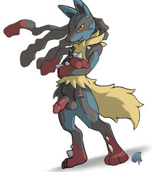 1boy anthro balls canine clothing crossed_arms dark_nek0gami fluffy_tail fur half-erect jackal looking_at_viewer lucario male male_only mega_evolution mega_lucario nintendo pants penis plain_background pokemon pokemon_(species) pokemon_xy red_eyes smile solo video_games white_background zipper