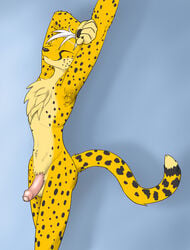 1boy anthro armpits cecil_richter cheetah concession feline fur hair immelmann male male_only mammal penis solo tuft uncut