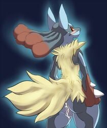 2013 after_sex anthro anus ass balls blue_fur blush canine celescario cum cum_in_ass cum_inside cum_on_balls jackal looking_at_viewer looking_back lucario male male_only mega_evolution mega_lucario nintendo nude open_mouth plain_background pokemon pokemon_(species) pokemon_xy red_eyes solo standing video_games