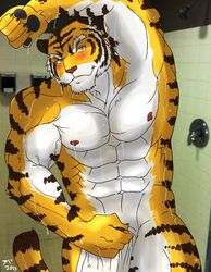 2013 abs anthro beast biceps big_muscles black_fur body_markings canine claws clothing feline fur hair hentist looking_at_viewer male male_only markings muscles nipples nude orange_fur pecs pink_nose pose shower smile solo tiger toragami_gaou vein water white_fur