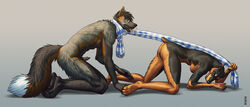 all_fours anatomically_correct_pussy animal_genitalia anthro arm_support ass ass_up barefoot black_fur black_nose black_pawpads breasts canine canine_penis canine_pussy cross_fox dashwood doberman domination erection eyewear female femdom fox foxjump fur furry glasses grey_background grey_fur half-erect holding interspecies inviting jenette kannos kneeling leash looking_back male malesub naughty_face nude orange_eyes pawpads paws penis plain_background pussy scarf side_view small_tail straight tongue tongue_out two_tone_fur