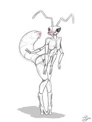 abdomen after_sex antennae blush breasts compound_eyes cum cum_in_pussy cum_inside digitigrade female insects mandibles mantis multi_arm multi_limb no_nipples pussy sentientsocks solo