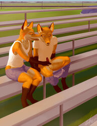 balls bleachers brothers canine clothing erection fox fur furry gay grass half-closed_eyes handjob incest male naughty_face no_humans orange_fur pants pants_down penis petting sex shirt shorts shorts_down sibling sitting small_penis smile socks_(marking) stadium teeth twins vahnfox