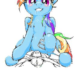 2013 blue_fur blush clothing drooling duo equine female feral friendship_is_magic hair horse human interspecies looking_at_viewer male multicolored_hair my_little_pony pants pegasus penis pony precum purple_eyes rainbow_dash_(mlp) rainbow_hair saliva stoic5 undressing wings