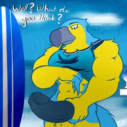 animal_crossing anthro avian eagle erection gay gs keaton_(animal_crossing) male male_only muscles nintendo penis solo surfing video_games