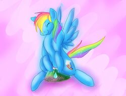 blankflank equine female feral friendship_is_magic horse male masturbation my_little_pony pegasus pony pussy rainbow_dash_(mlp) tank_(mlp) wings