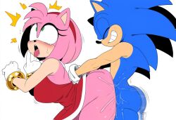 amy rose from sega by mullon