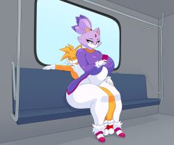absurd_res anthro big_breasts blaze_the_cat bodily_fluids breasts cum cum_inside cytrusawa duo female genital_fluids hi_res huge_breasts inflation inside_train male male/female on_lap on_phone sega sitting_on_another sitting_on_lap sonic_the_hedgehog_(series) stomach_bulge tails