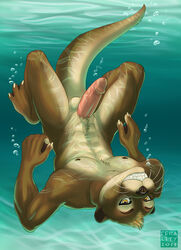 2013 balls ferality grin male male_only mustelid nude otter penis solo underwater upside-down water