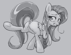 2013 animal anus ass blush cutie_mark equine female feral fluttershy_(mlp) friendship_is_magic greyscale hair horse long_hair mammal monochrome my_little_pony pegasus pony presenting pussy solo stoic5 sweat wings