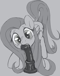 2013 blush cutie_mark dildo equine female feral fluttershy_(mlp) friendship_is_magic hair horse long_hair my_little_pony pegasus pony saliva sex_toy solo stoic5 wings